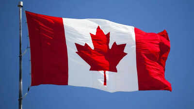 ‘Thinking about moving to Canada?’: IRCC’s new ad angers Canadians; people call it ‘beyond parody’