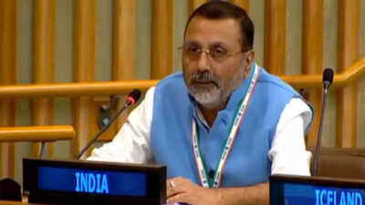 ‘Worst violator’: India slams ‘highly hypocritical’ Pakistan at UN; calls out killings in Afghanistan | India News