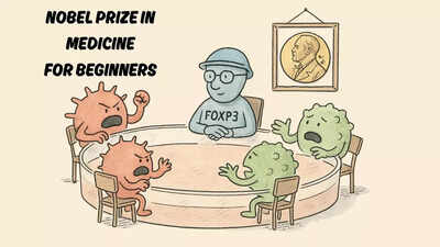 2025 Nobel Prize in Medicine for Beginners: How Mary Brunkow, Fred Rasmdell, and Shimon Sakguchi found the body’s ‘peacekeepers’ |