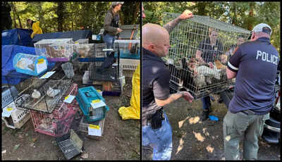 ‘Deeply distressing’: Over 200 animals, elderly woman rescued from New York home; wildlife rehabilitator arrested