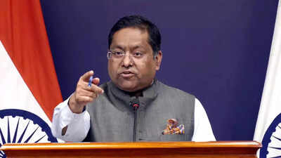 Bangladesh govt has failed minorities, shifting blame now, says India | India News