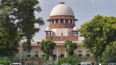 SC walks tightrope, says yes to green crackers on Diwali & eve | India News