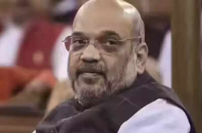 ‘Belief that Indian law can’t reach fugitives ending’ | India News