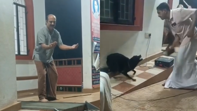 Reality bites: Actor attacked by dog during street play on stray menace in Kerala; audience thinks it’s part of act — watch | Chennai News