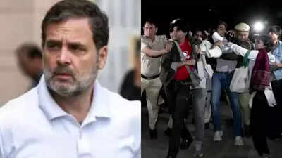 ‘Treated like criminals’: Rahul Gandhi slams government for detaining protesters in Delhi, says citizens have right to clean air | India News