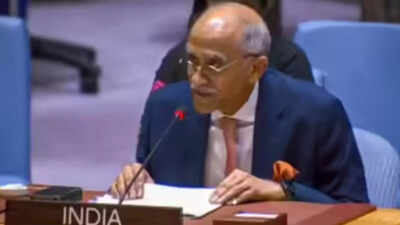 ‘Long-fought cross-border terror’: India tells UNSC to enforce zero-tolerance; remark hours after Delhi blast | India News