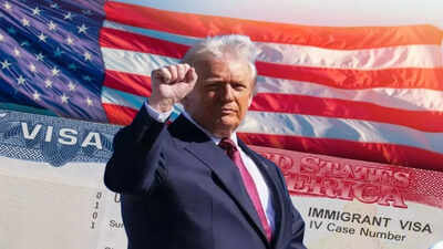 Donald Trump’s war on immigrants: Over 80,000 non-immigrant visas snatched this year | World News