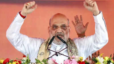 ‘They welcome infiltrators’: Shah takes jibe at Lalu ‘chacha’ & Rahul Gandhi at Bihar rally; claims only Nitish-Modi can prevent ‘jungle raj’ | India News