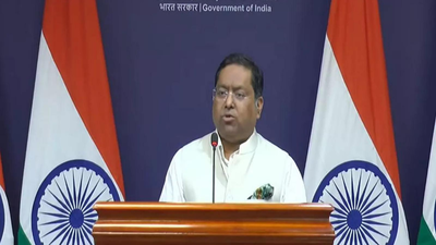 ‘Do not have anything on this to share’: MEA on Donald Trump’s possible India visit next year | India News