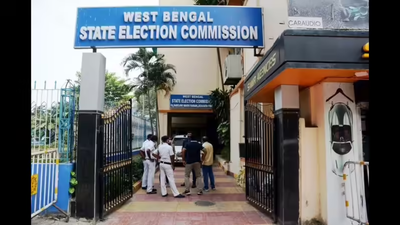 Woman tries to kill daughter & self, kin link it to Bengal SIR | India News