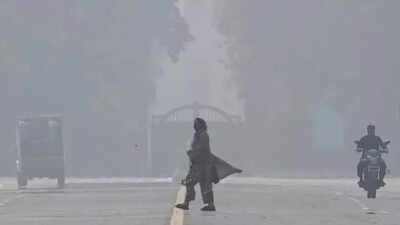 How Delhi is caught in a poisonous loop | Delhi News