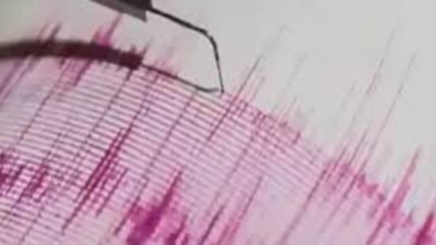 Earthquake jolts Andaman and Nicobar Islands: 5.4 magnitude tremor hits Andaman Sea | India News