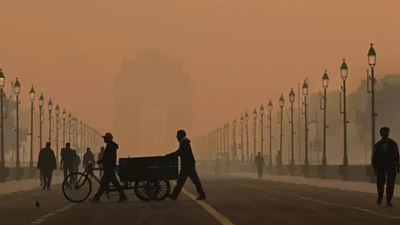 Foul air: Many are bidding adieu to Delhi; health concerns drive relocations | Delhi News