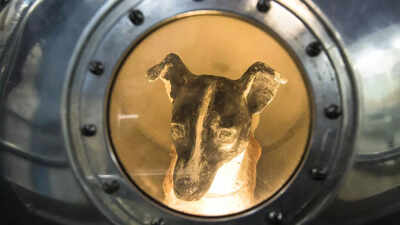 First animal in space! Brave stray dog whose 1957 space mission made history and never returned |