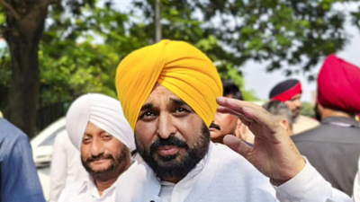 Punjab observes November as Martyrdom Remembrance Month to mark Guru Tegh Bahadur’s 350th anniversary; hosts kirtans, seva camps | India News