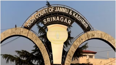 J&K HC upholds detention of a woman accused of having contact with Lakhvi’s nephew | India News