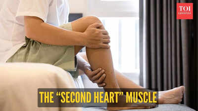 Why experts call the calf muscle our body’s ‘second heart,’ and 5 ways to keep it strong for better circulation |