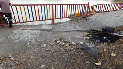 Canal near Kartavya Path green with algae, pavements broken | India News