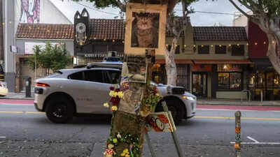 Why death of a cat has ‘shaken’ San Francisco and is troubling Google’s car service Waymo