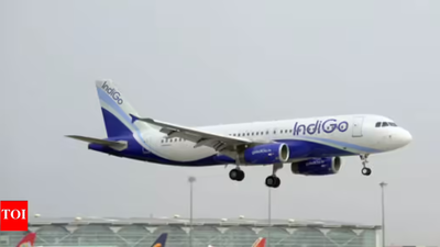 Govt may give 5% of IndiGo flight share to other airlines | India News