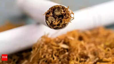 Parliament Winter Session: Govt to introduce Central Excise (Amendment) Bill 2025; Here’s all you need to know