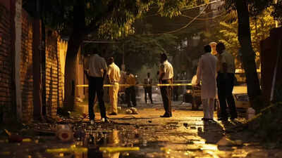 Feud over cow dung ends in murder: DU student stabbed to death in family brawl; 2 arrested | Delhi News