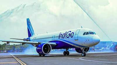 IndiGo cancellations: How to track flight & refund status online; step-by-step guide
