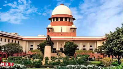 ‘SC ruling on wedding gifts a win for all Muslim women’ | India News