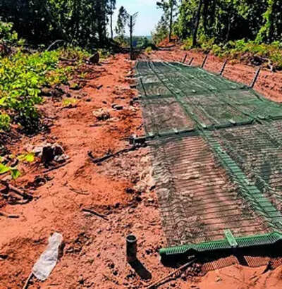 150m Myanmar border fence cut in Manipur | India News