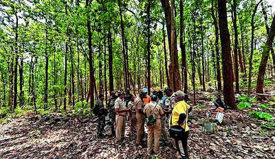 After 10-yr chase, wildlife sleuths nab the ‘ghost’ | India News