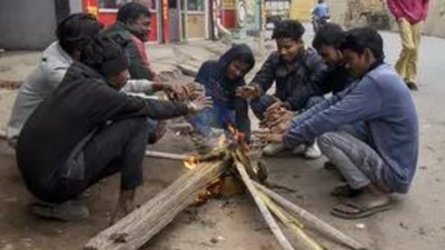 Cold conditions prevail in north India; temperatures sub-zero in several parts of J-K | India News