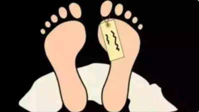 ‘Can’t take torture by wife’: Man’s body exhumed after recovery of clip in locked phone | Agra News