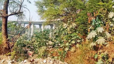 Delhi: Cabbie stabbed to death for refusing ride to India Gate for birthday celebration; found in bushes after nearly 4 hours by passersby | Delhi News