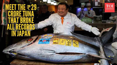 ₹29 crore for one fish? Japan just sold the world’s most expensive tuna |
