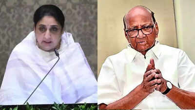 Sunetra is Maharashtra deputy CM; Sharad Pawar says not in loop | Mumbai News