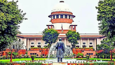 Human cases don’t get so many appeals: SC on stray dogs row; matter slated to come up for hearing today | India News