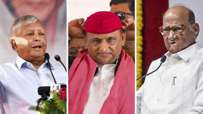 From kingmakers to kin wars: How family feuds are crippling regional parties across states | India News