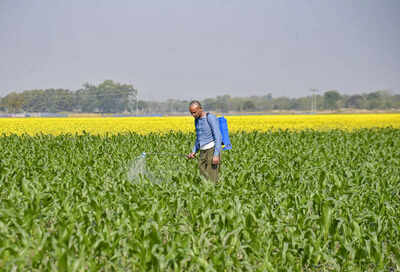 Budget 2026: Agri sector lays out its pitch — expect tech push, climate-smart infrastructure & more