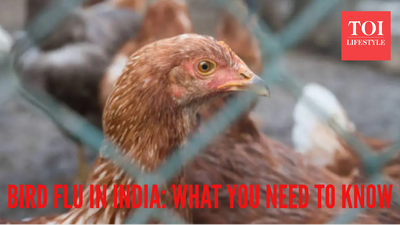 Bird flu outbreak in India: Early symptoms, preventive tips to know |