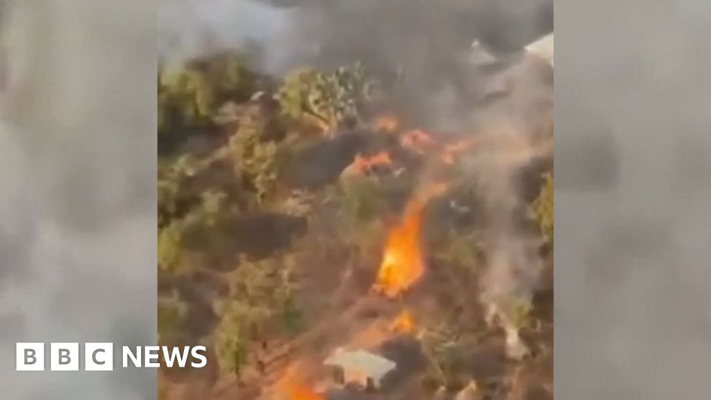 Nigeria kills ‘200 bandits’ in operation against kidnapping gang