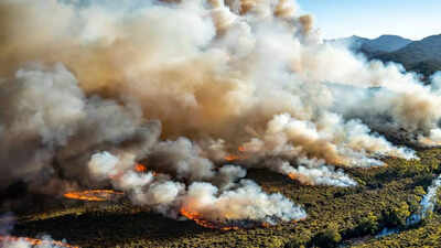 Australia hit by severe heatwave with burning across places nearing 50 C and thousands without power; here’s the reason | World News