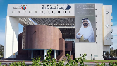 Dubai to plant 20,000 trees across the city to mark 20 years of Sheikh Mohammed’s leadership | World News