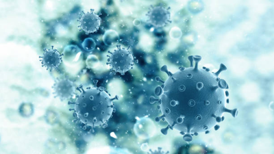 Monkey Fever Symptoms: Karnataka man dies of Kyasanur Forest Disease (monkey fever): Doctor details symptoms and high-risk season |