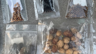 ‘Don’t open’: Residents of Texas warned against mysterious packets shipped from China