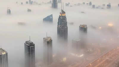 UAE fog alert: Authorities warns of extremely low visibility in Dubai and Coastal areas | World News
