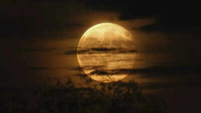 What happens if the Moon disappears |