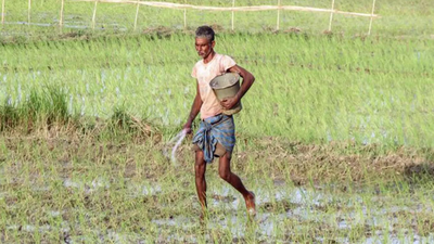 Slightly warm and dry Feb may impact Rabi crops, IMD predicts while releasing monthly temp and rainfall outlook | India News