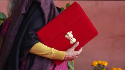 Budget 2026 gives a boost to mental healthcare: North India to get its own NIMHANS | India News