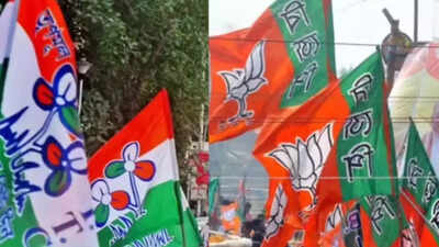 Trinamool names 4 Rajya Sabha candidates, BJP hits back over ‘non-Bengali’ charge | India News