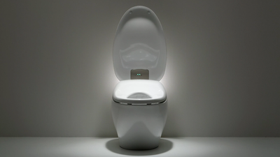 One of world’s biggest toilet maker Toto called ‘most undervalued and overlooked AI company’ as it uses…